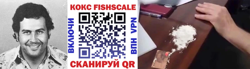 Cocaine Fish Scale  наркотики  Будённовск 