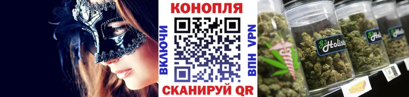 Бошки марихуана Amnesia  KRAKEN ссылки  Будённовск 